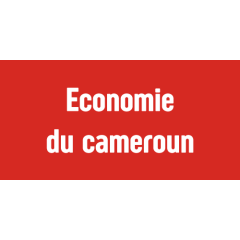 Économie du Cameroun